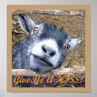 Give Us A Kiss! Poster