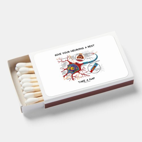 Give Your Neurons A Rest Take A Nap Neuron Synapse Matchboxes