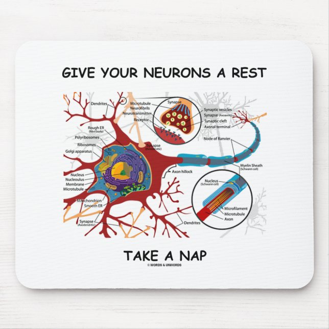 Give Your Neurons A Rest Take A Nap Neuron Synapse Mouse Pad (Front)