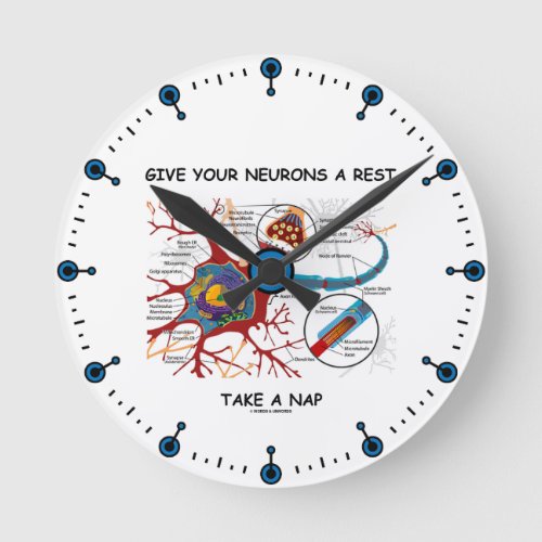 Give Your Neurons A Rest Take a Nap Neuron Synapse Round Clock