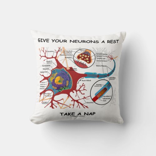 Give Your Neurons A Rest Take A Nap Neuron Synapse Throw Pillow