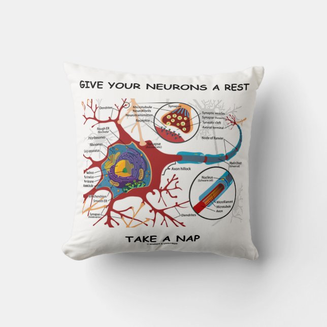 Give Your Neurons A Rest Take A Nap Neuron Synapse Throw Pillow (Front)