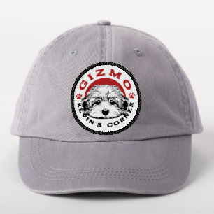 Gizmo Kevin's Corner Pet Maltipoo Puppy Patch