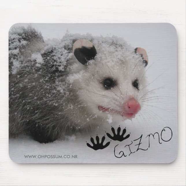 Gizmo Signature Mousepad (Front)