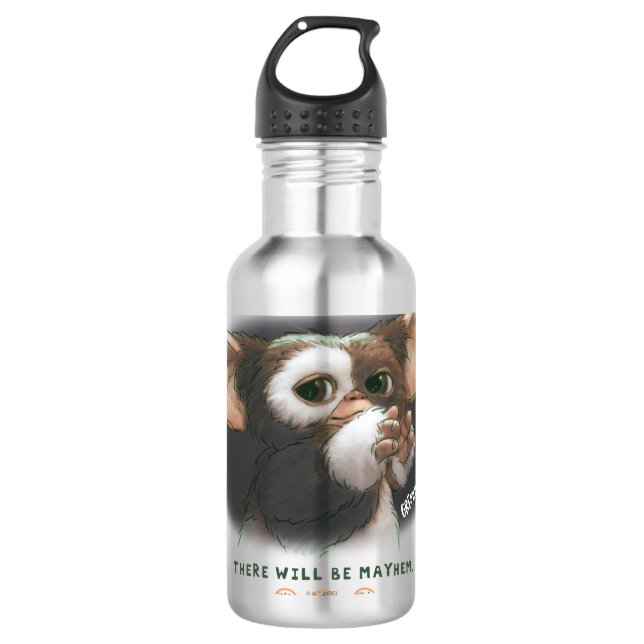 Gizmo There Will Be Mayhem Stainless Steel Water Bottle (Front)
