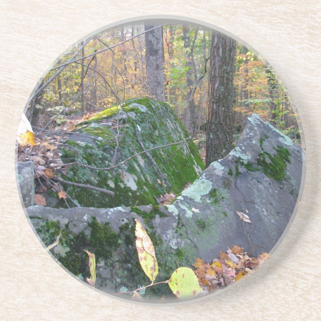 Glacial Boulders Montgomery County Pennsylania Drink Coaster (Front)