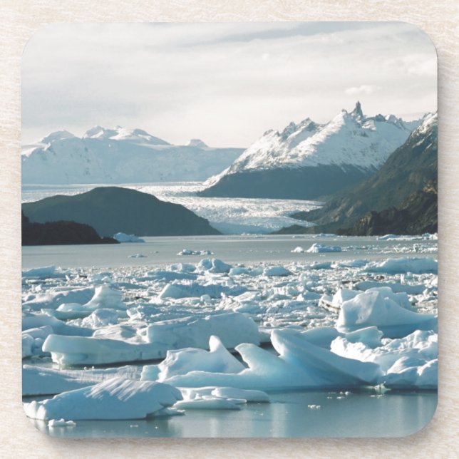Glacial Icebergs Beverage Coaster (Front)