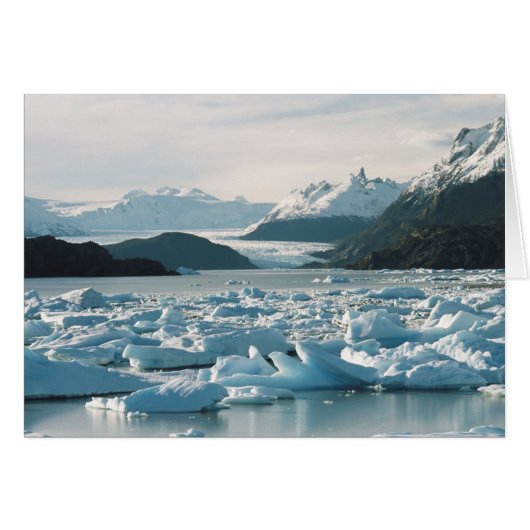 Glacial Icebergs Cards (Front Horizontal)