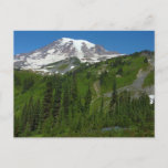 Glacial Melt at Mount Rainier Postcard