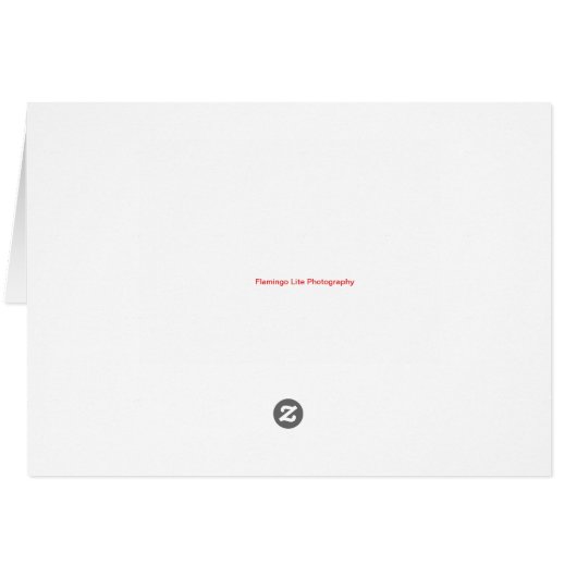 Glacier Bay Alaska (Back Horizontal)