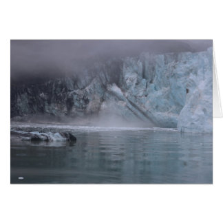 Glacier Bay Alaska Cards