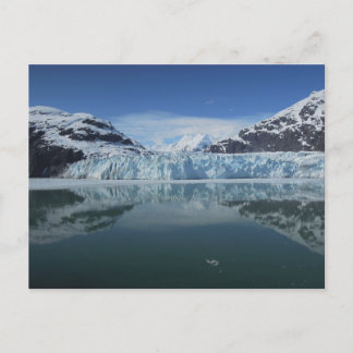 Glacier Bay National Park In Alaska Postcard