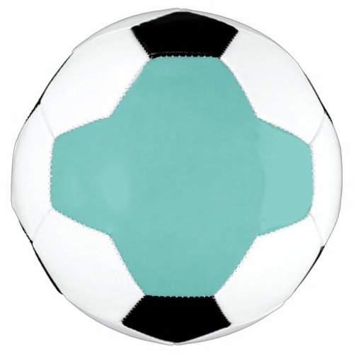  GlacierGulf StreamGum Leaf Soccer Ball