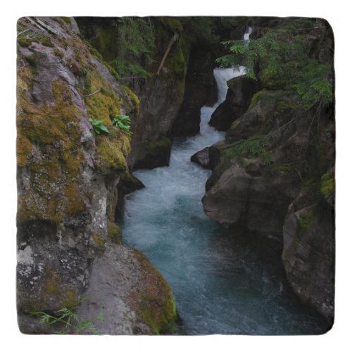 Glacier National Park Avalance Creek Scenic Photo Trivet