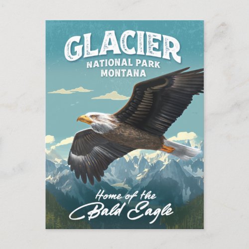 Glacier National Park Bald Eagle Postcard
