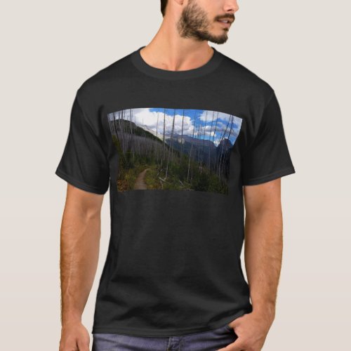 Glacier National Park Highline Trail Burnout T_Shirt