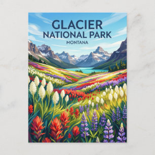 Glacier National Park Montana Postcard