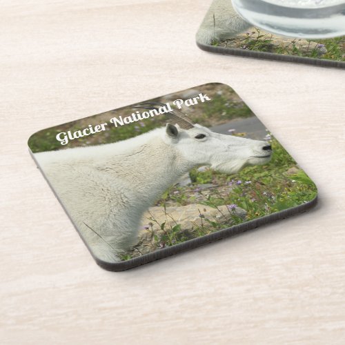 Glacier National Park Mountain Goat Beverage Coaster