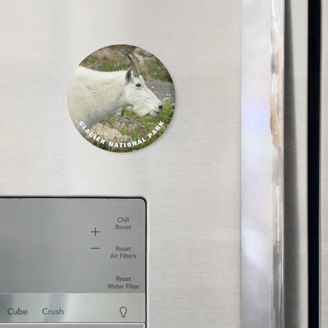 Glacier National Park Mountain Goat Magnet (In Situ (Fridge))