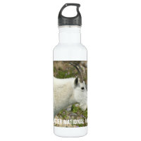 Stainless Steel Glacier Goat Water Bottle - Glacier National Park