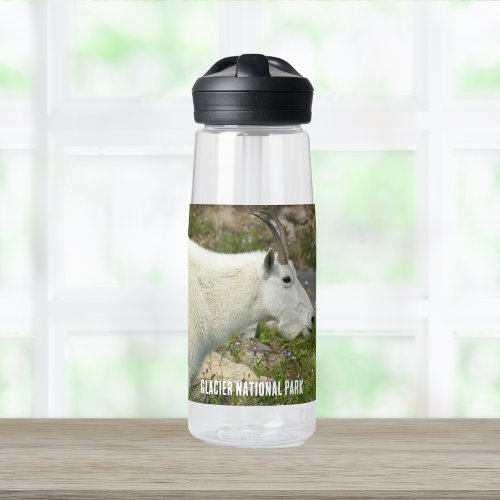 Glacier National Park Mountain Goat Photo Water Bottle