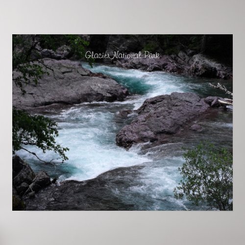 Glacier National Park Woodland Stream Photo  Poster