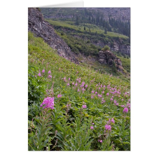 Glacier Park Cards (Front)