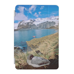Glaciers and sailing yacht in background iPad mini cover