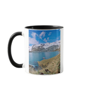 Glaciers and sailing yacht in background mug