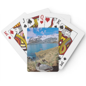 Glaciers and sailing yacht in background poker cards