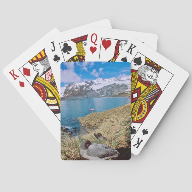 Glaciers and sailing yacht in background poker cards (Back)