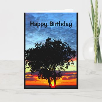 Glad We Belong To The Same Family Tree Card by MortOriginals at Zazzle