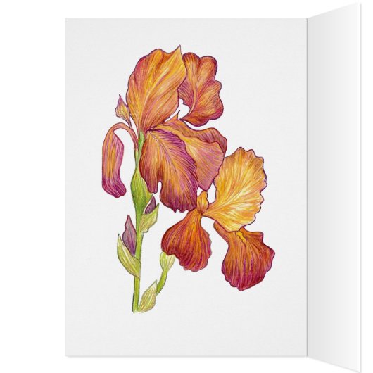 Glad you're back card (Inside (Left))