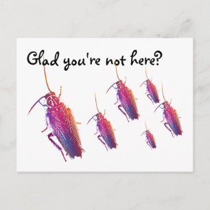 Glad you're not here? Colourful cockroaches Postcard