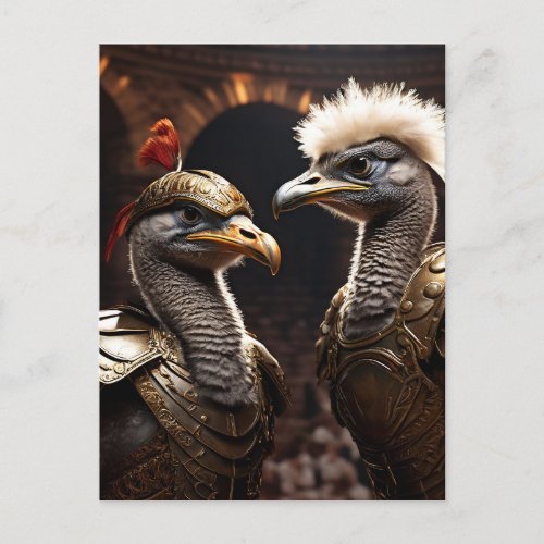 Gladiator Ostrich Postcard