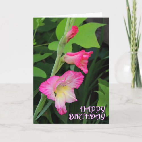 Gladiola Birthday 3 Card