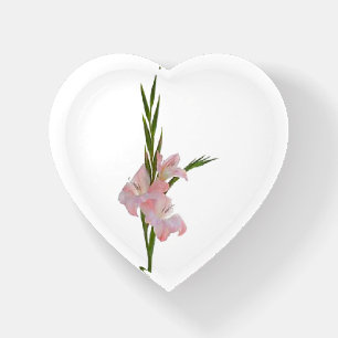 “Gladiola Flower” Paperweight