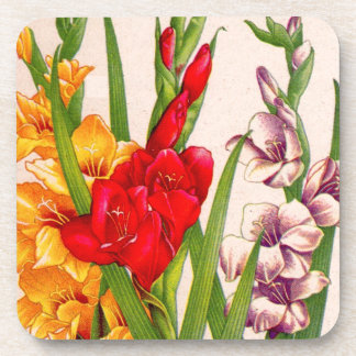 gladiola flowers gladioli flowers coaster