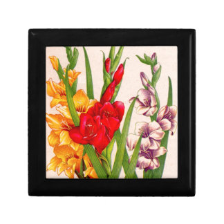 gladiola flowers gladioli flowers gift box