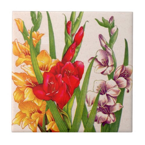 gladiola flowers gladioli flowers tile