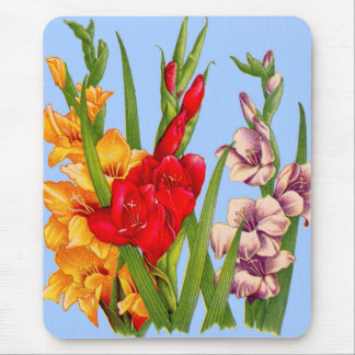 gladiola gladiolus mouse pad