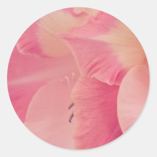 Gladiola Petals Classic Round Sticker