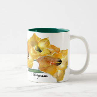 Gladiola Watercolor Painting Mug