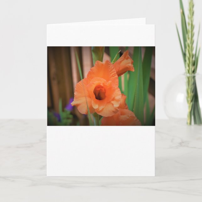 Gladioli, card (Front)