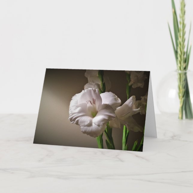 Gladioli, card (Front)
