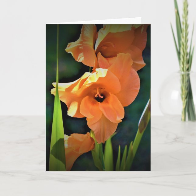 Gladioli, card (Front)