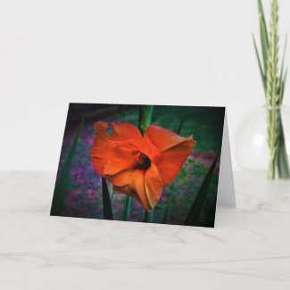 Gladioli, card