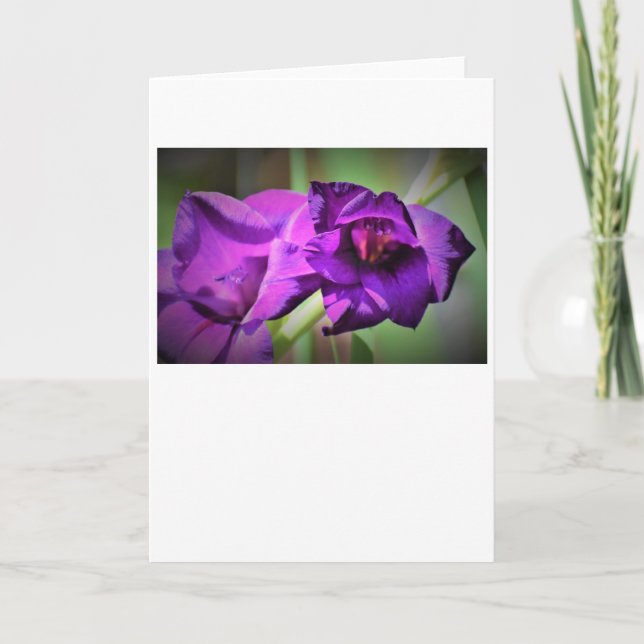 Gladioli, card (Front)