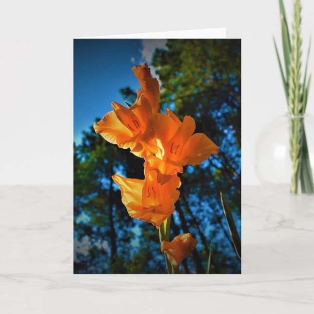 Gladioli, card (Front)