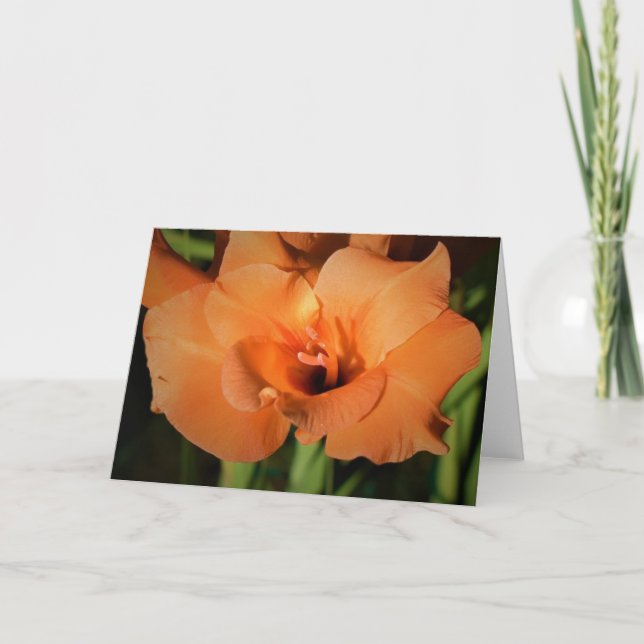 Gladioli, card (Front)